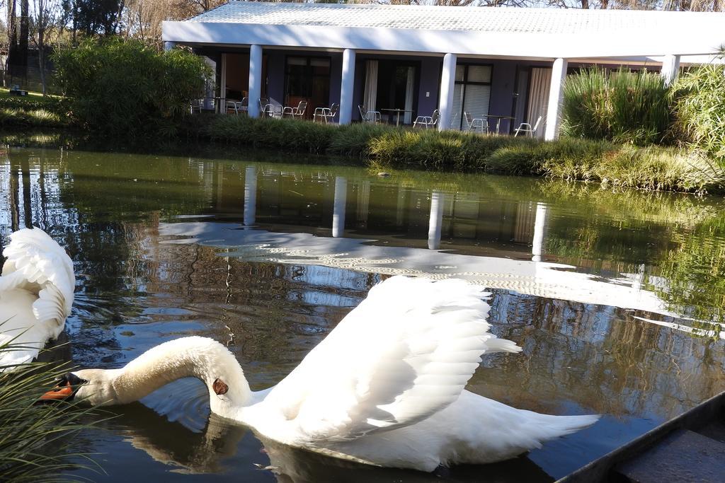Willow Place Guest House Midrand Exterior foto